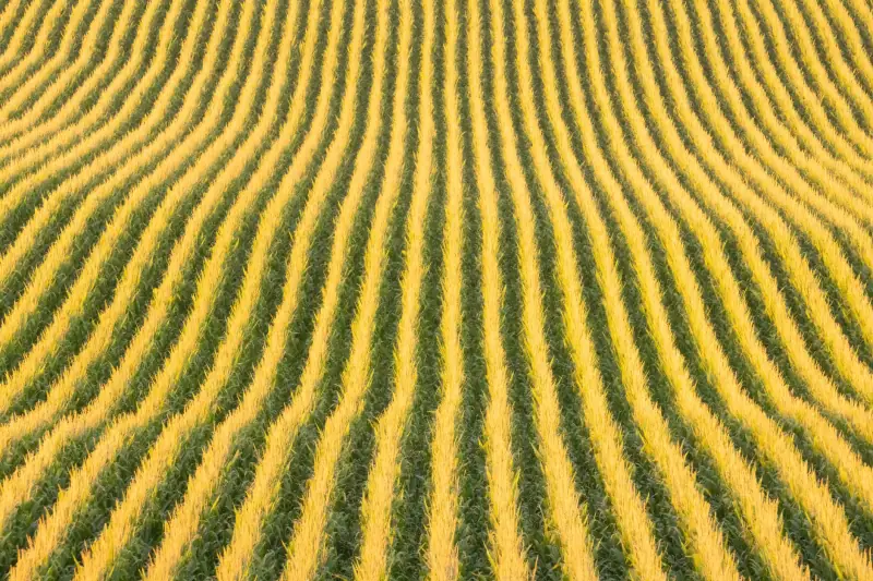 重庆制造企业装配流水线非标定制方案与实施要点
