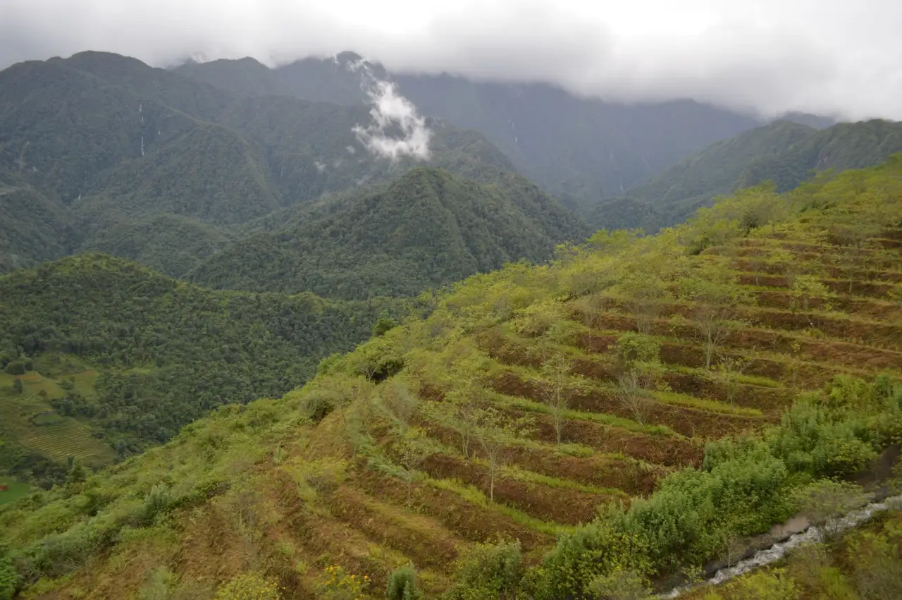 重庆装配流水线非标定制方案：提升产线配套效率的关键技术解析