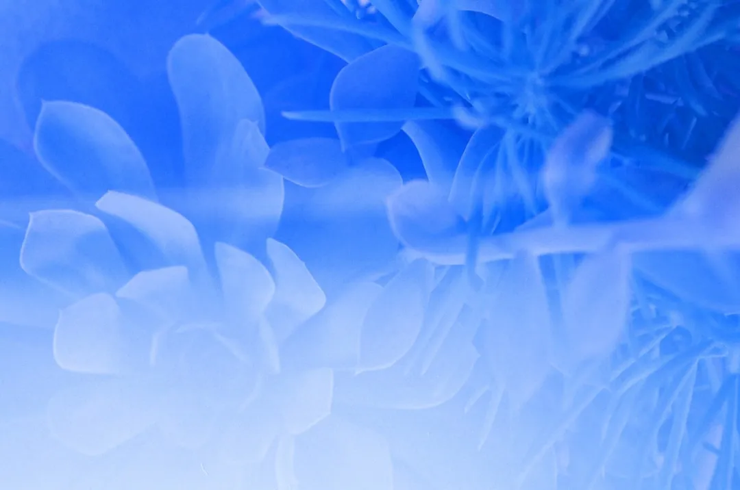 重庆顺工巧装配流水线非标定制方案在汽摩配产线的应用解析